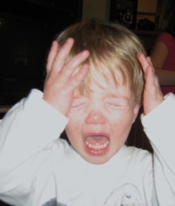 "Please let me throw the eggs!"